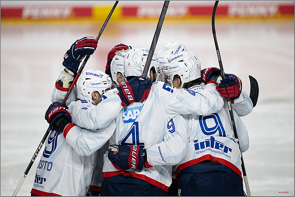 PENNY DEL 1; Kölner Haie - Adler Mannheim; Köln, 02.02.2025