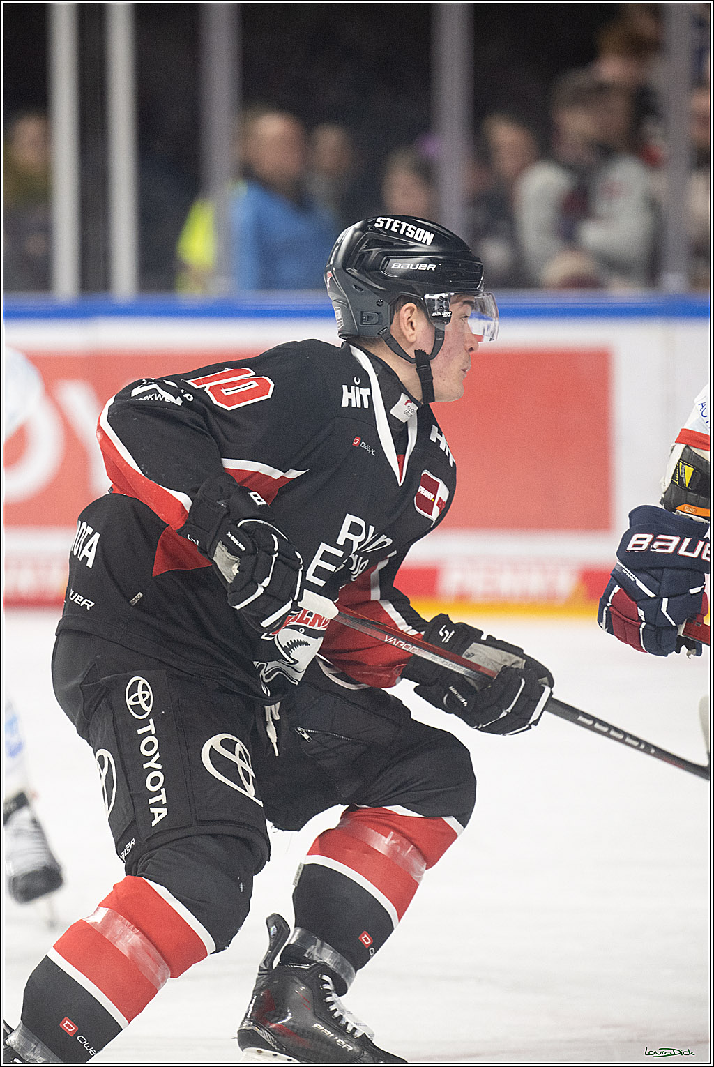 PENNY DEL; Koelner Haie-Adler Mannheim; Koeln, 02.02.2025