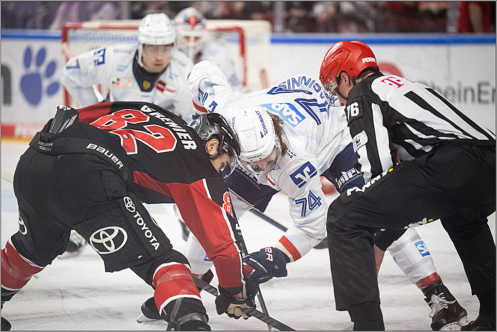 PENNY DEL; Koelner Haie-Adler Mannheim; Koeln, 02.02.2025