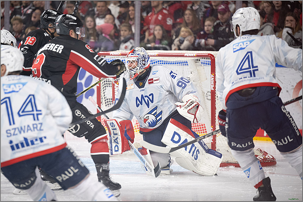 PENNY DEL; Koelner Haie-Adler Mannheim; Koeln, 02.02.2025