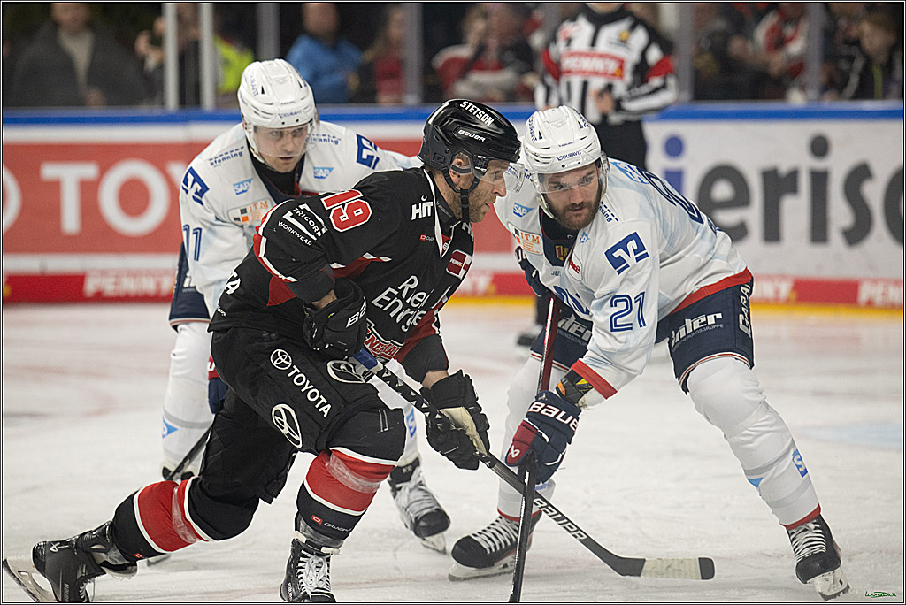PENNY DEL; Koelner Haie-Adler Mannheim; Koeln, 02.02.2025