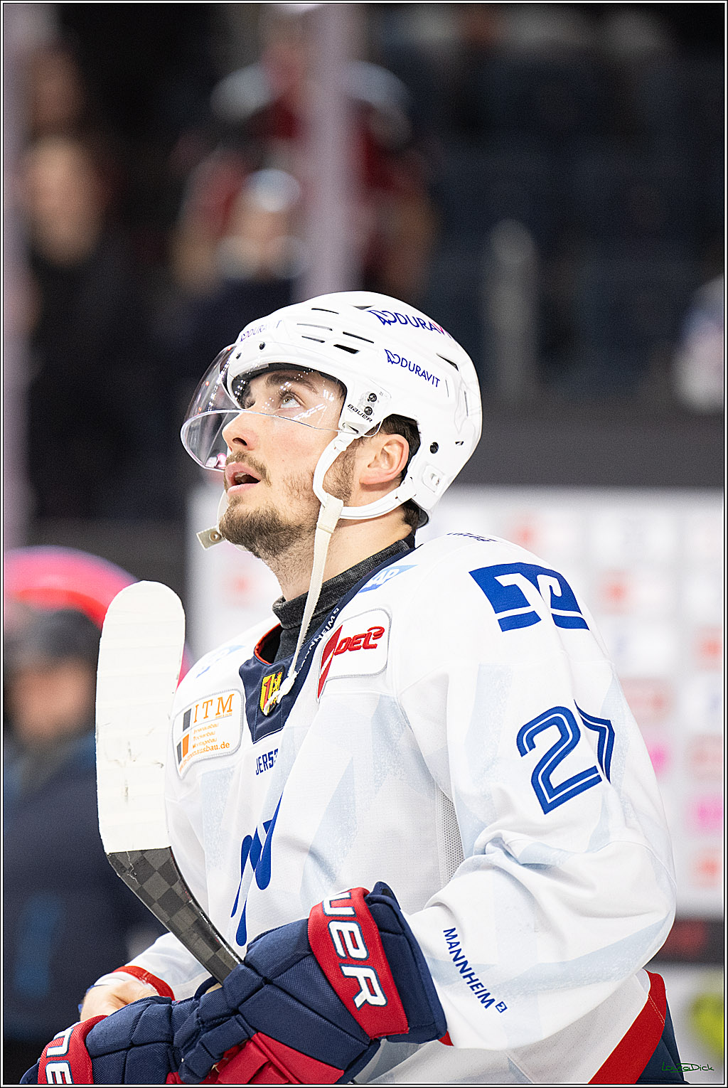 PENNY DEL; Koelner Haie-Adler Mannheim; Koeln, 02.02.2025