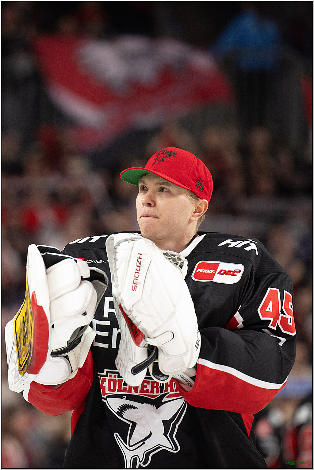 PENNY DEL; Koelner Haie-Adler Mannheim; Koeln, 02.02.2025