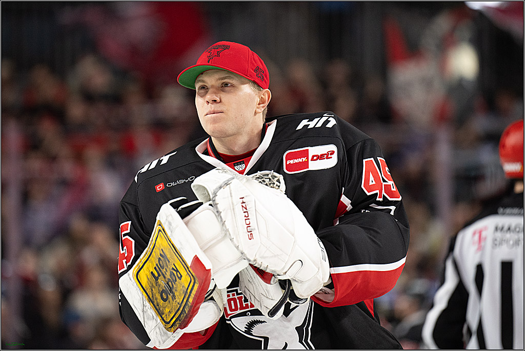 PENNY DEL; Koelner Haie-Adler Mannheim; Koeln, 02.02.2025