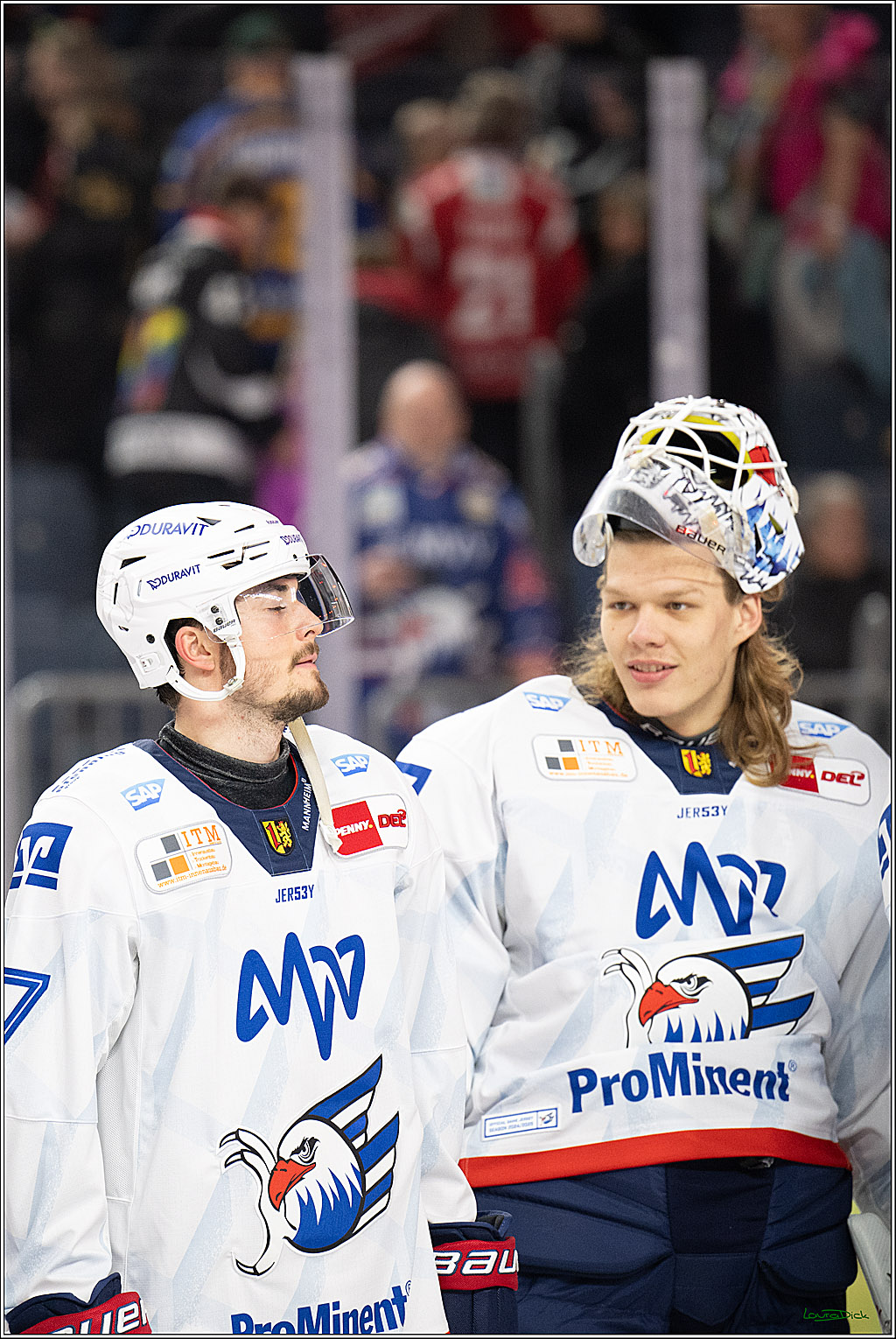 PENNY DEL; Koelner Haie-Adler Mannheim; Koeln, 02.02.2025