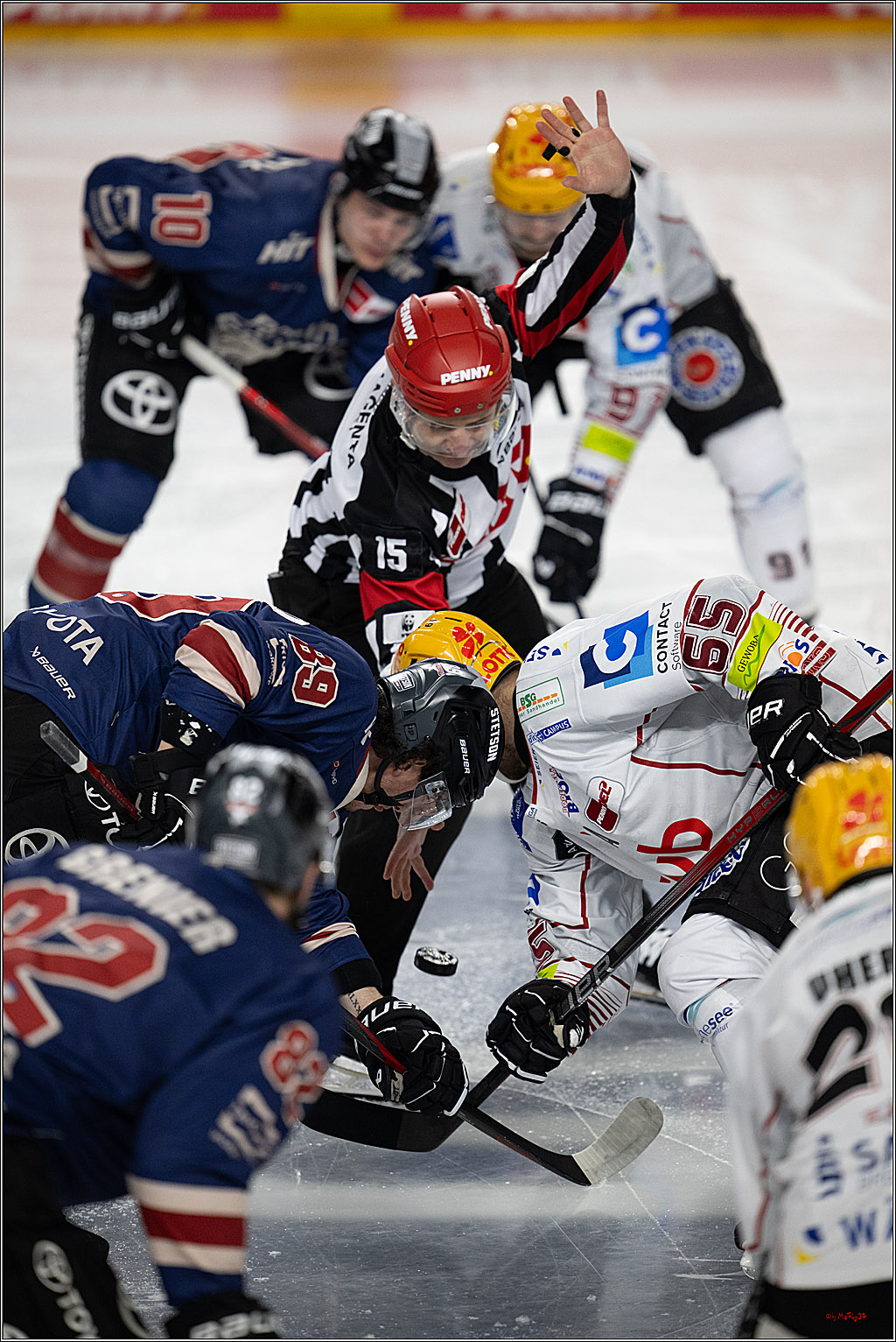 PENNY DEL 1; Kölner Haie - Fischtown Pinguins Bremerhaven; Köln, 07.03.2025