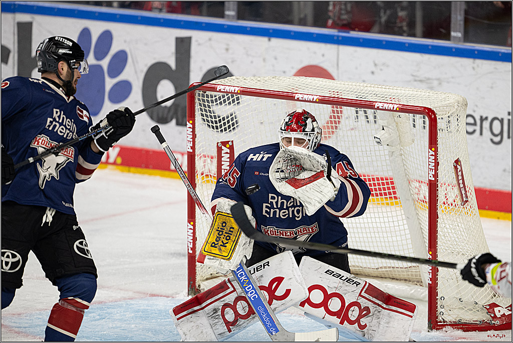 PENNY DEL 1; Kölner Haie - Fischtown Pinguins Bremerhaven; Köln, 07.03.2025