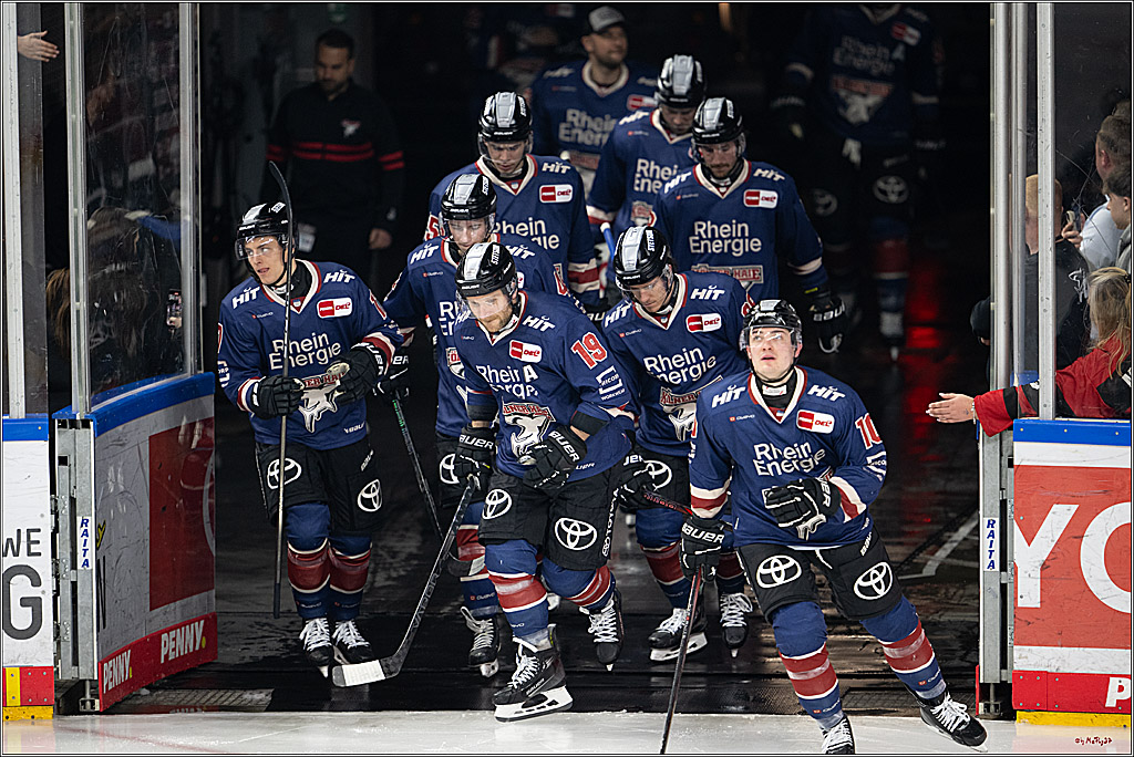 PENNY DEL 1; Kölner Haie - Fischtown Pinguins Bremerhaven; Köln, 07.03.2025