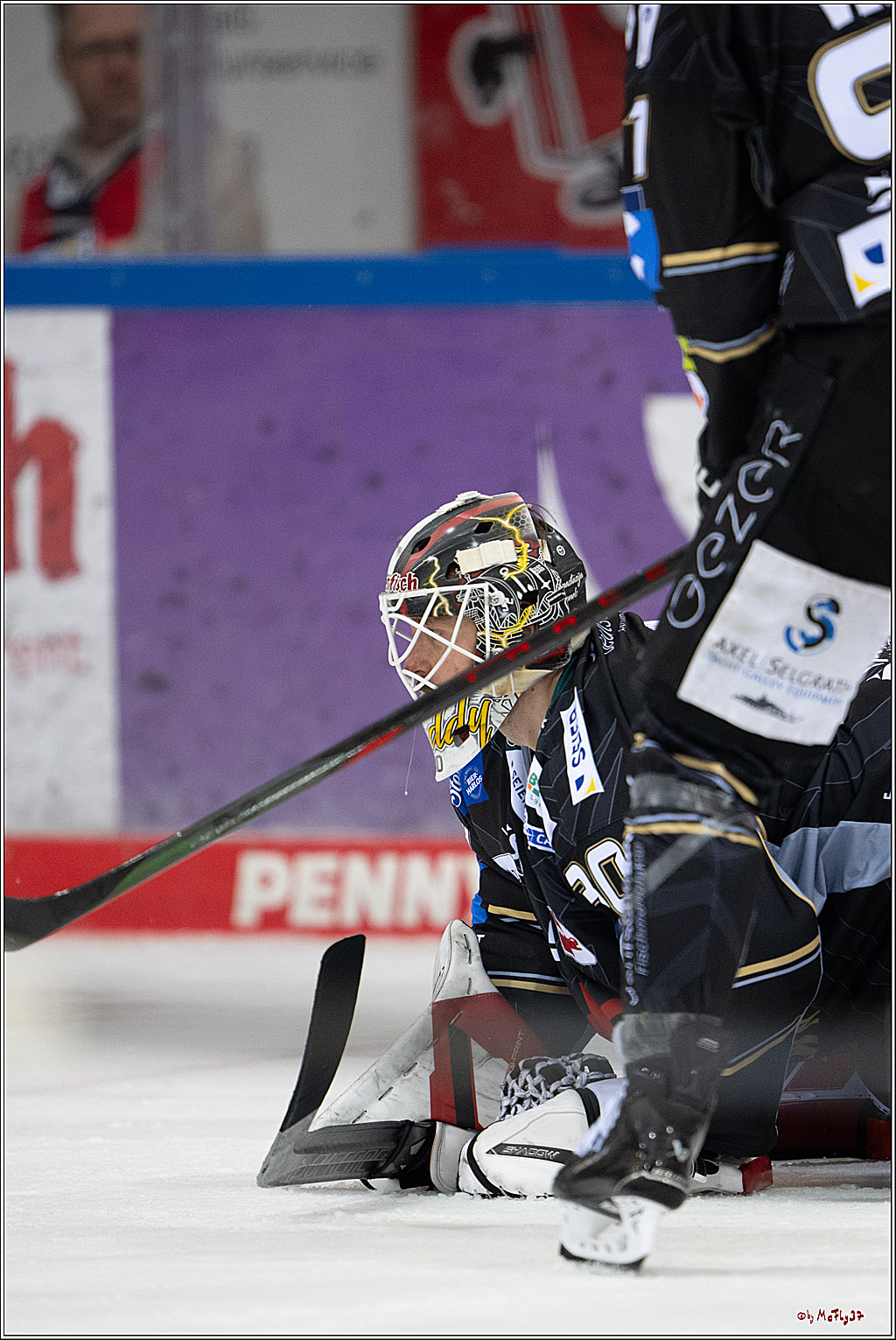 PENNY DEL 1 - Playoff Viertelfinale; Fischtown Pinguins Bremerhaven - Kölner Haie; Bremerhaven, 16.03.2025