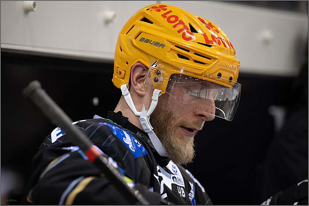 PENNY DEL; Fischtown Pinguins-Koelner Haie; Bremerhaven, 16.03.2025