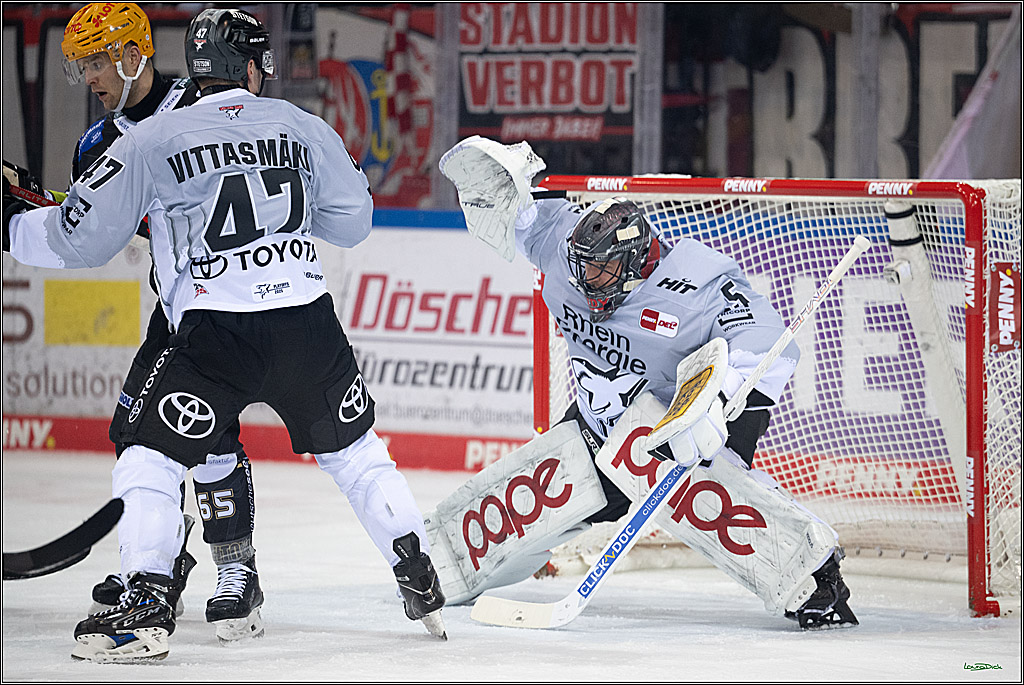 PENNY DEL; Fischtown Pinguins-Koelner Haie; Bremerhaven, 16.03.2025