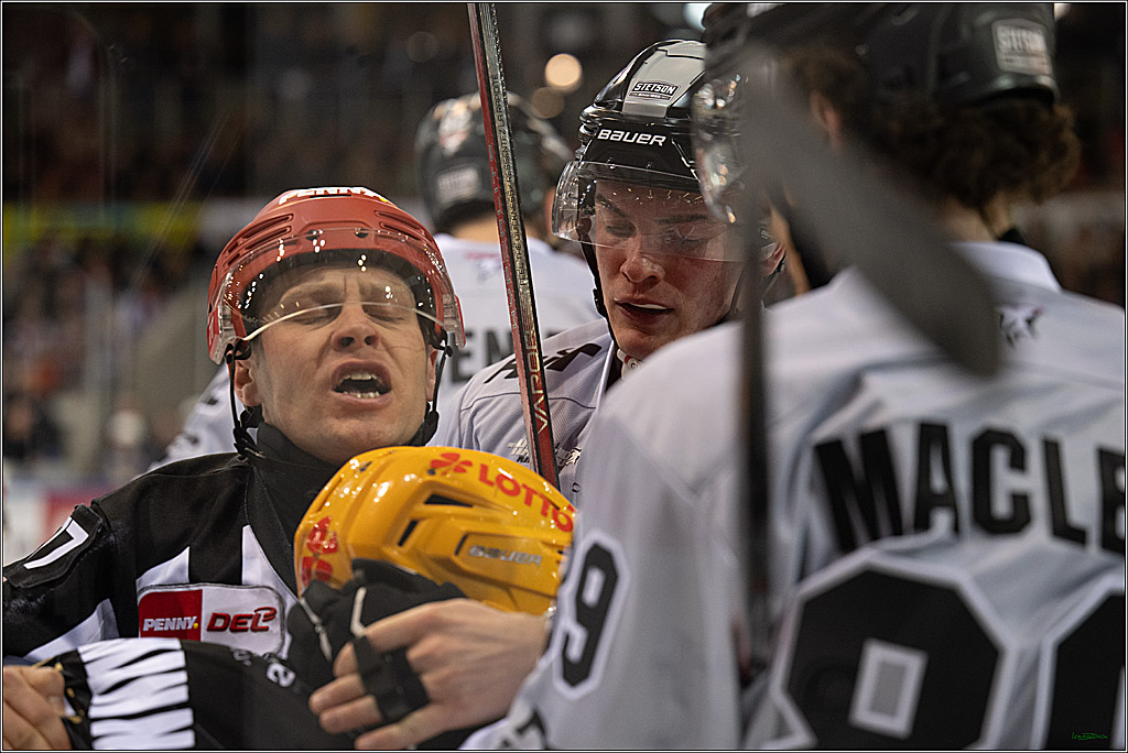 PENNY DEL; Fischtown Pinguins-Koelner Haie; Bremerhaven, 16.03.2025