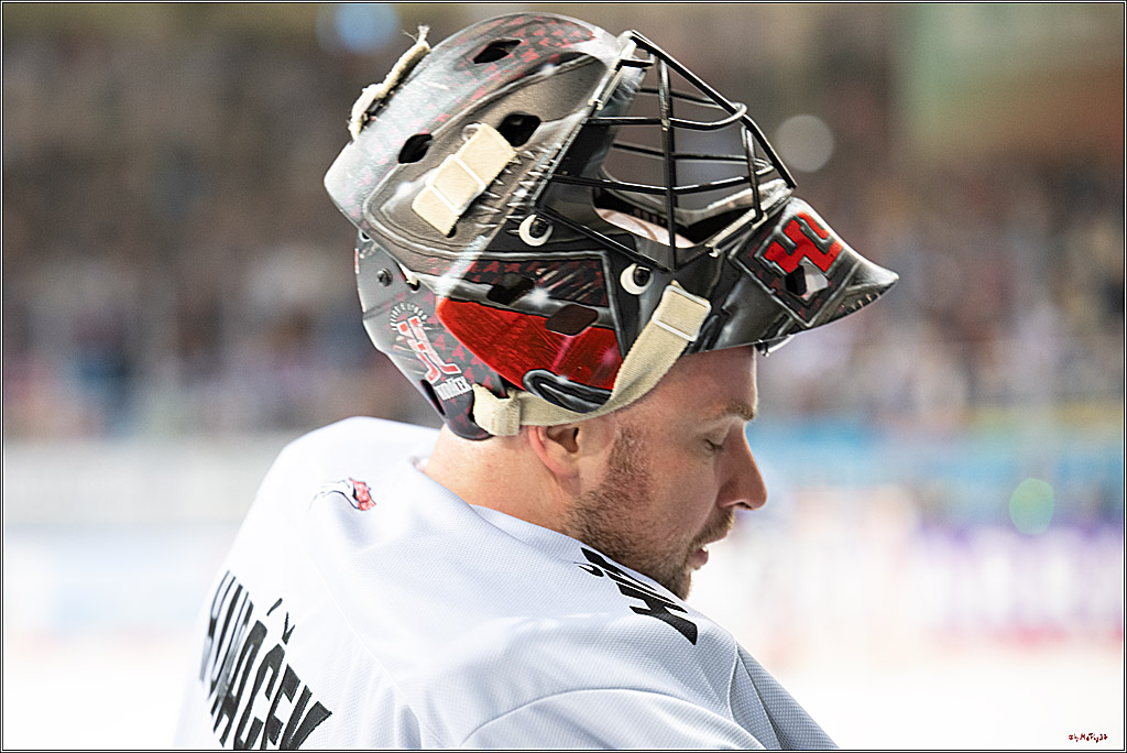 PENNY DEL 1 - Playoff Viertelfinale; Fischtown Pinguins Bremerhaven - Kölner Haie; Bermerhaven, 21.03.2025