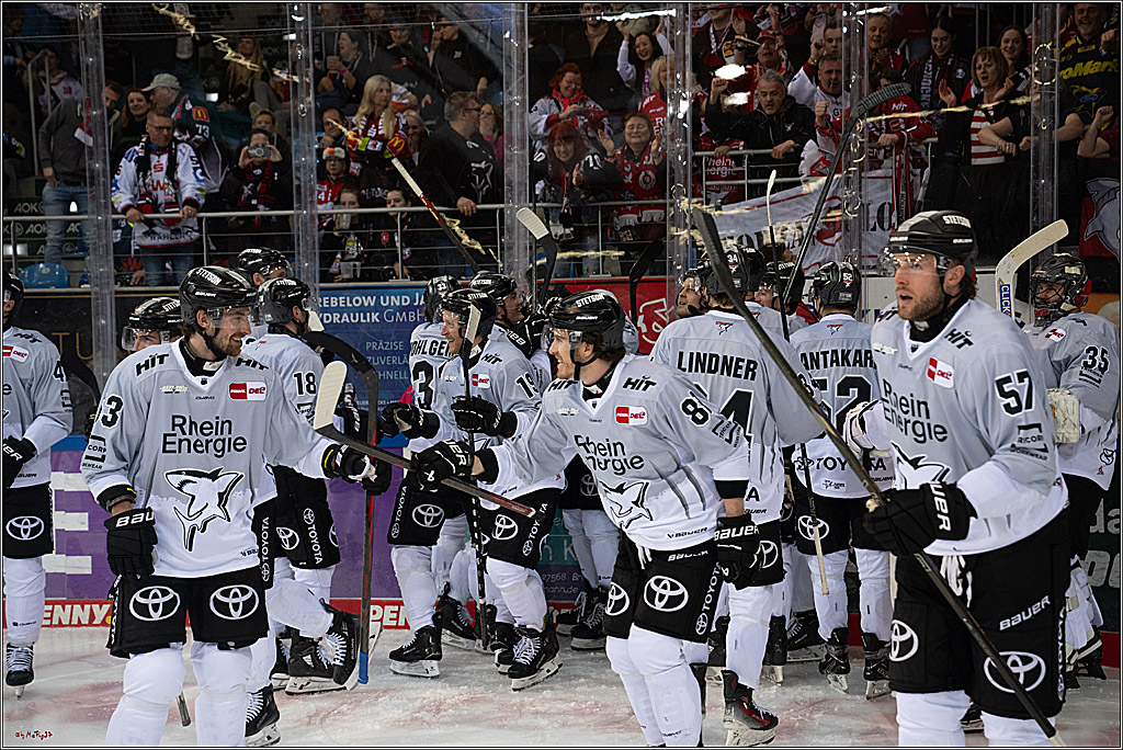 PENNY DEL 1 - Playoff Viertelfinale; Fischtown Pinguins Bremerhaven - Kölner Haie; Bermerhaven, 21.03.2025