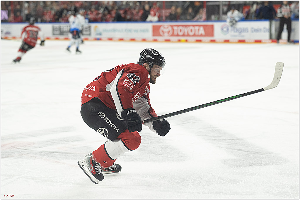 PENNY DEL 1 - Playoff Halbfinale; Kölner Haie - ERC Ingolstadt; Köln, 04.04.2025