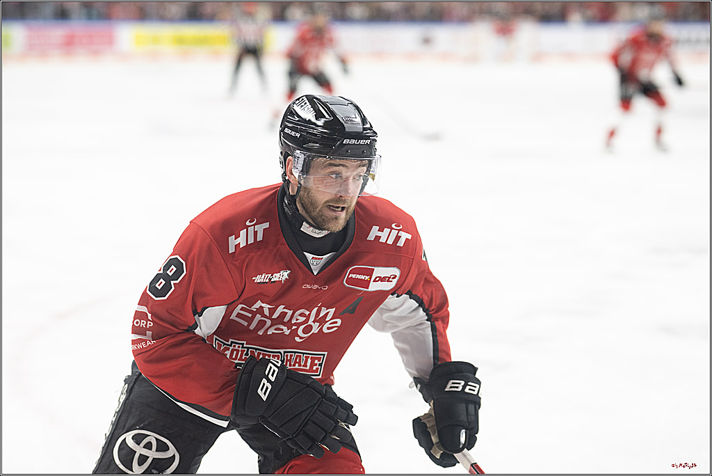 PENNY DEL 1 - Playoff Halbfinale; Kölner Haie - ERC Ingolstadt; Köln, 09.04.2025