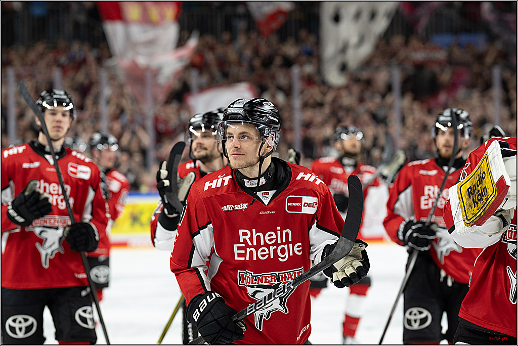 PENNY DEL 1 - Playoff Halbfinale; Kölner Haie - ERC Ingolstadt; Köln, 09.04.2025