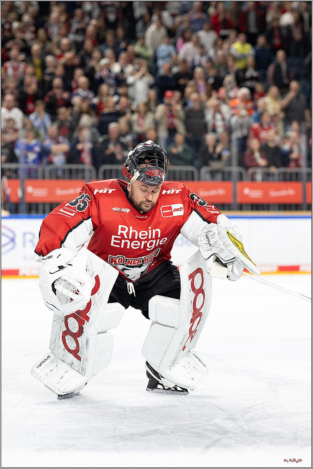 PENNY DEL 1 - Playoff Halbfinale; Kölner Haie - ERC Ingolstadt; Köln, 09.04.2025