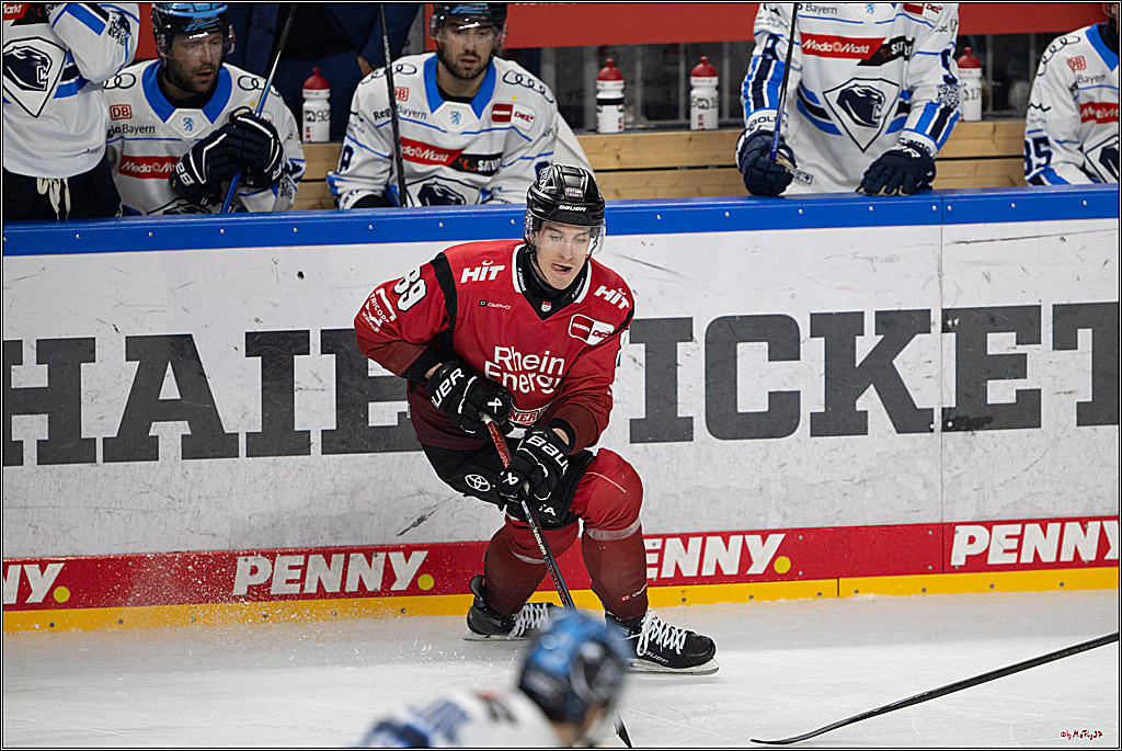 PENNY DEL 1; Kölner Haie - ERC Ingolstadt; Köln, 10.10.2025