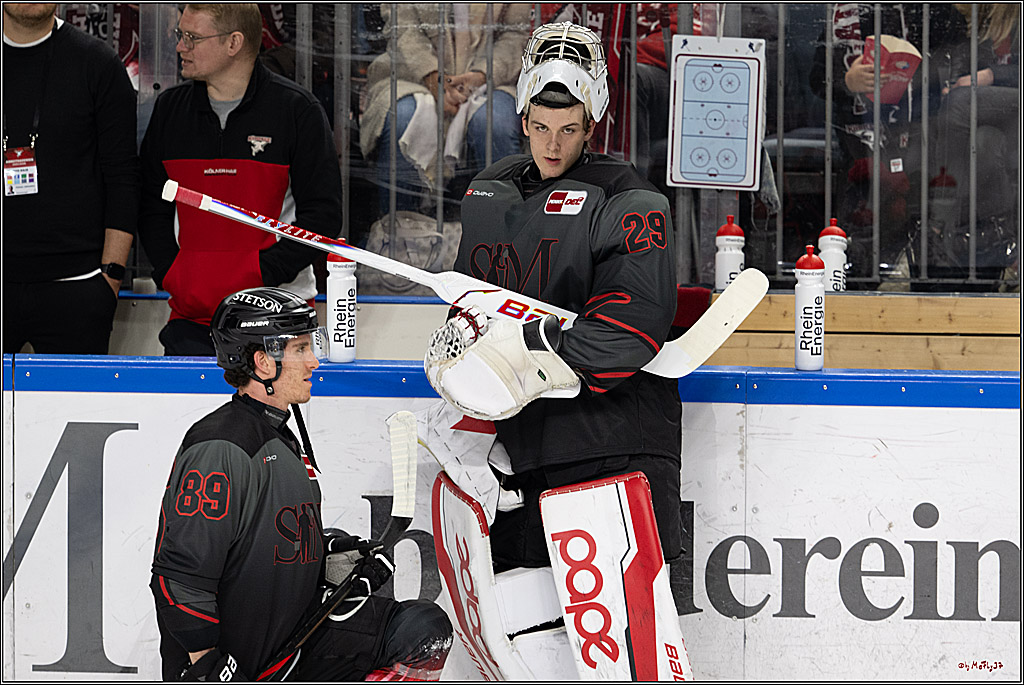 PENNY DEL 1; Kölner Haie - Straubing Tigers; Köln, 19.10.2025
