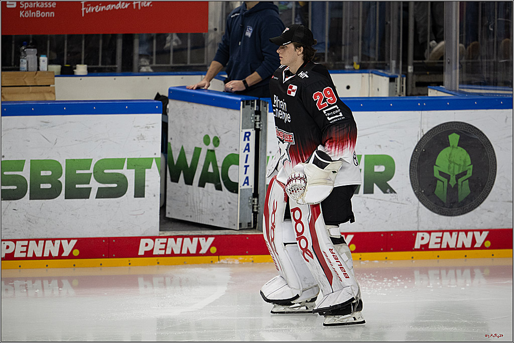 PENNY DEL 1; Kölner Haie - Straubing Tigers; Köln, 19.10.2025