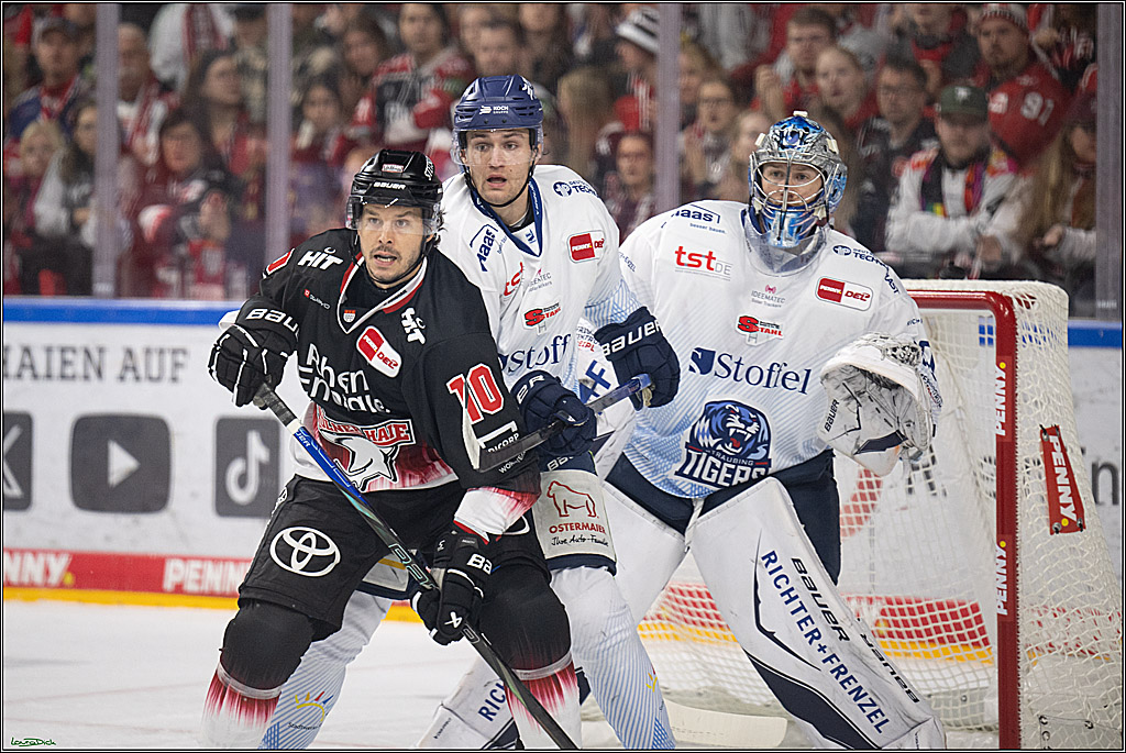PENNY DEL 1; Koelner Haie - Straubing Tigers; Koeln, 19.10.2025