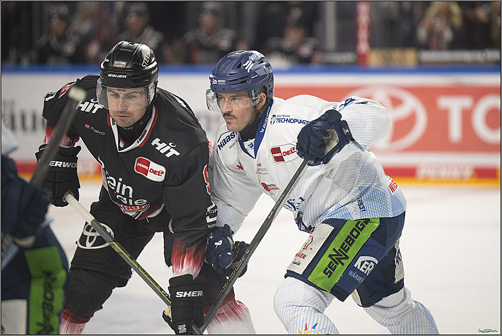 PENNY DEL 1; Koelner Haie - Straubing Tigers; Koeln, 19.10.2025