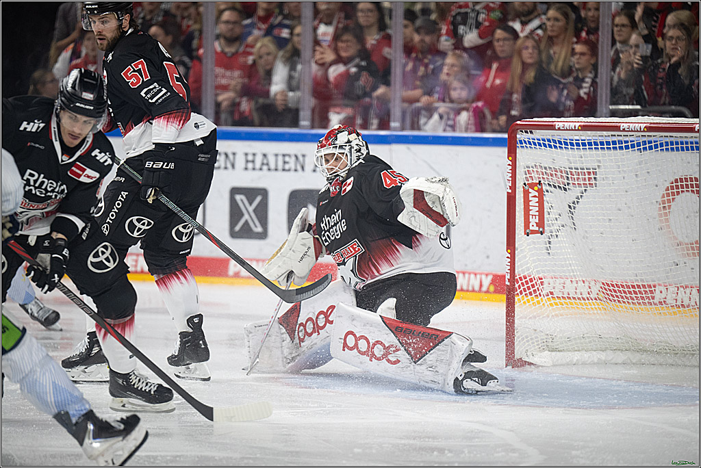 PENNY DEL 1; Koelner Haie - Straubing Tigers; Koeln, 19.10.2025