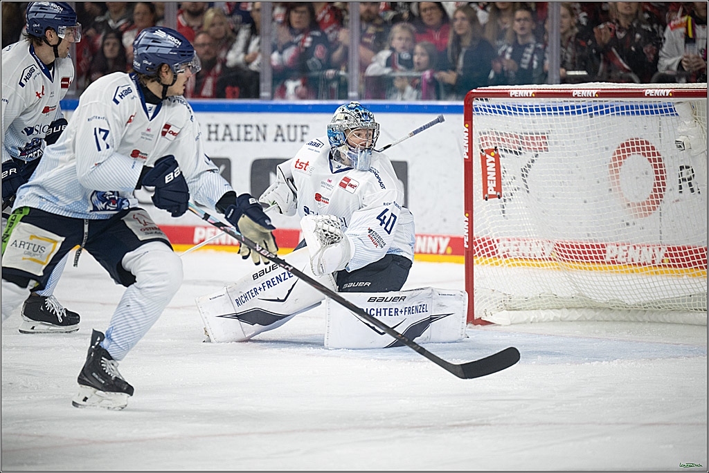 PENNY DEL 1; Koelner Haie - Straubing Tigers; Koeln, 19.10.2025