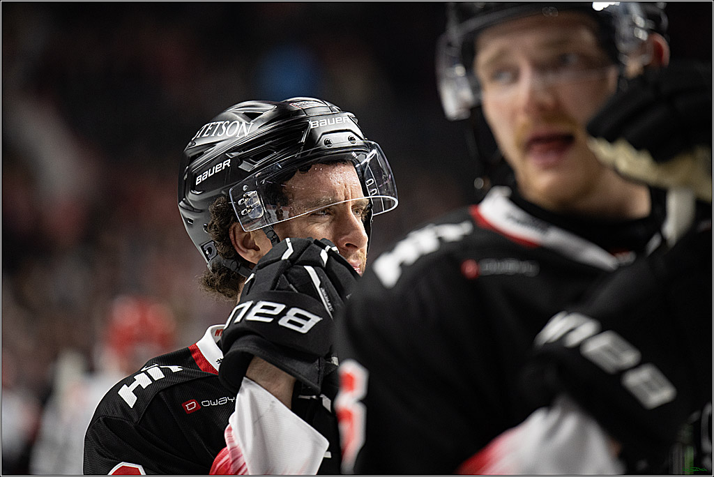 PENNY DEL 1; Kölner Haie - Schwenninger Wild Wings; Koeln, 23.11.2025