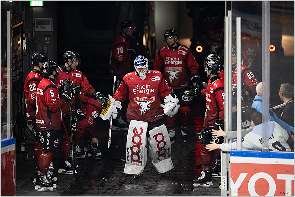 PENNY DEL 1; Kölner Haie - Nürnberg Ice Tigers; Köln, 05.12.2025