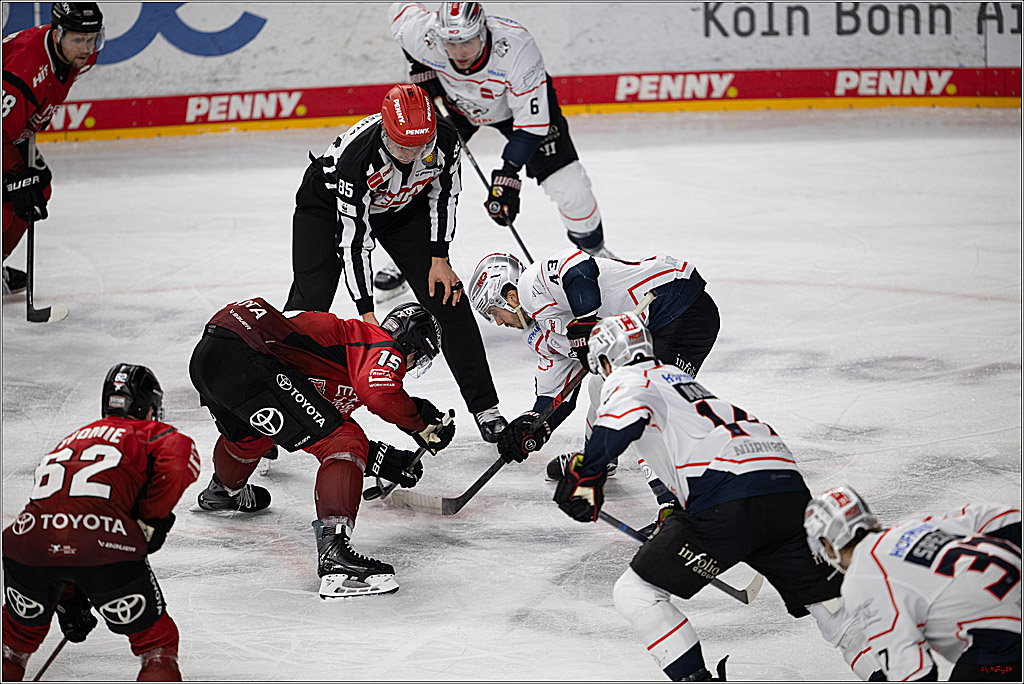 PENNY DEL 1; Kölner Haie - Nürnberg Ice Tigers; Köln, 05.12.2025