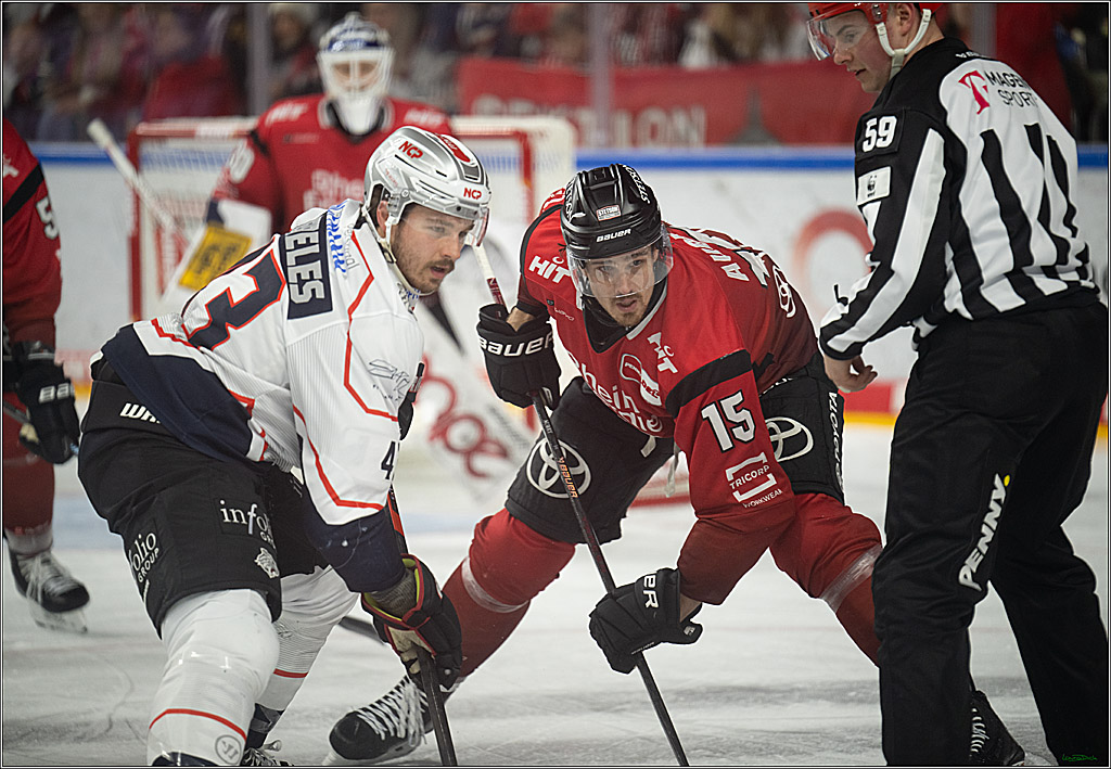 PENNY DEL; Kölner Haie-Nürnberg Ice Tigers; Köln, 05.12.2025