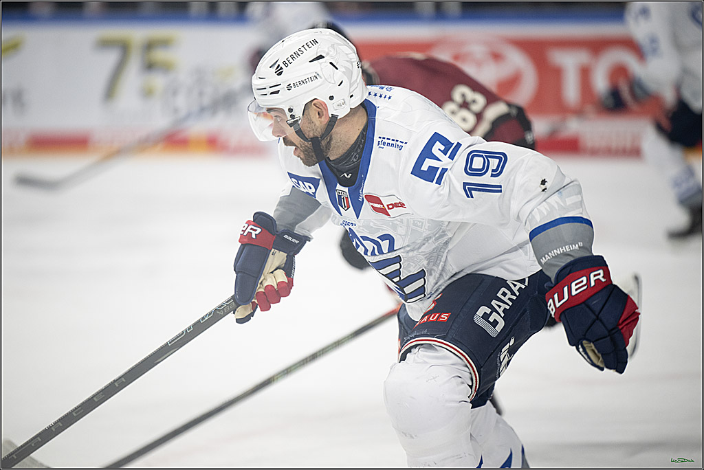 PENNY DEL; Kölner Haie-Adler Mannheim; Köln, 14.12.2025