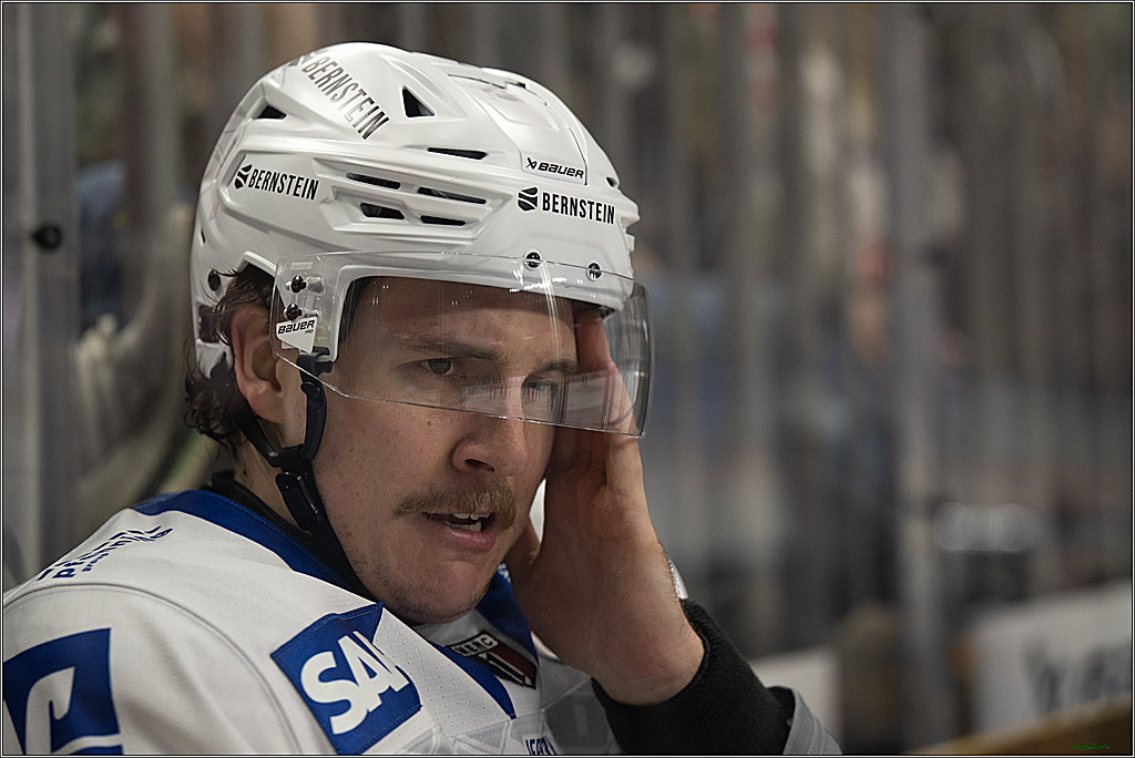 PENNY DEL; Kölner Haie-Adler Mannheim; Köln, 14.12.2025