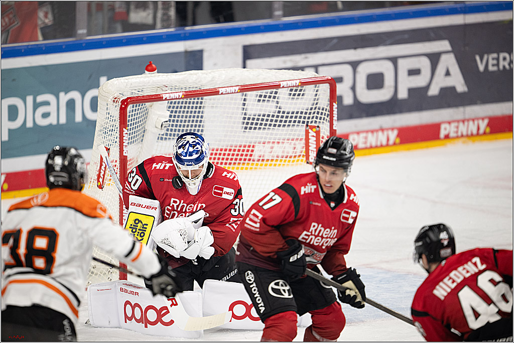 PENNY DEL 1; Kölner Haie - Grizzly Wolfsburg; Köln, 18.12.2025