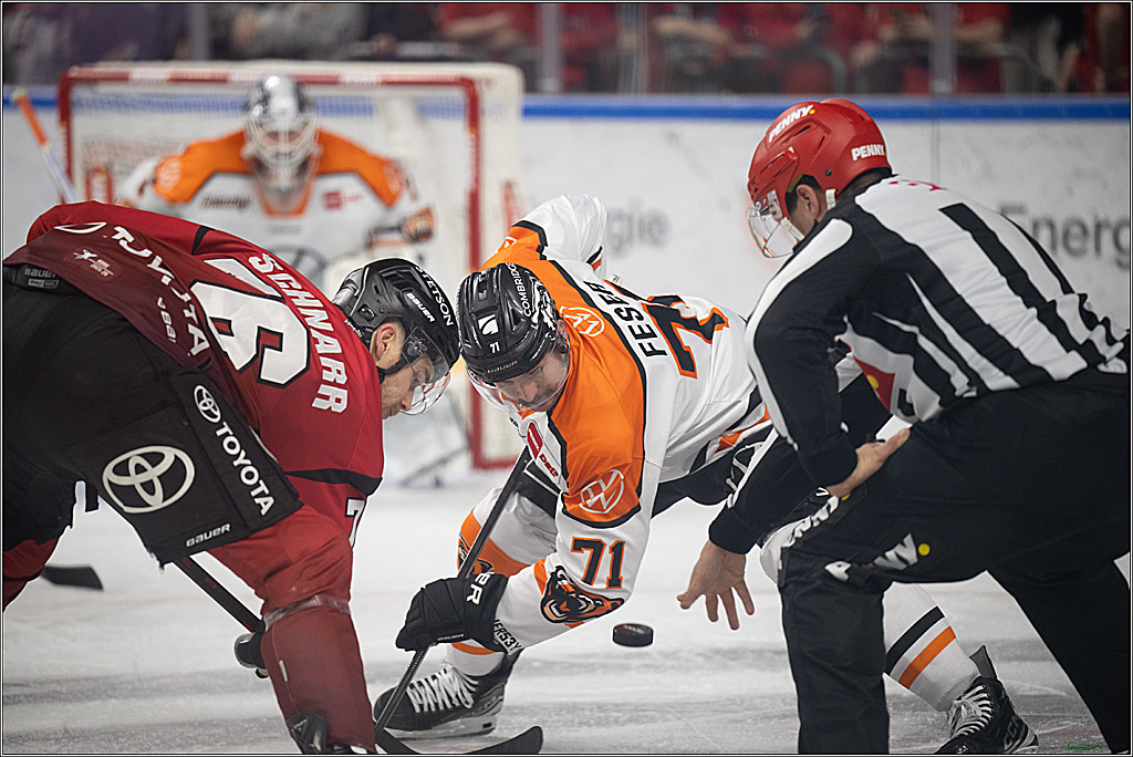 PENNY DEL; Kölner Haie-Grizzlys Wolfsburg; Köln, 18.12.2025