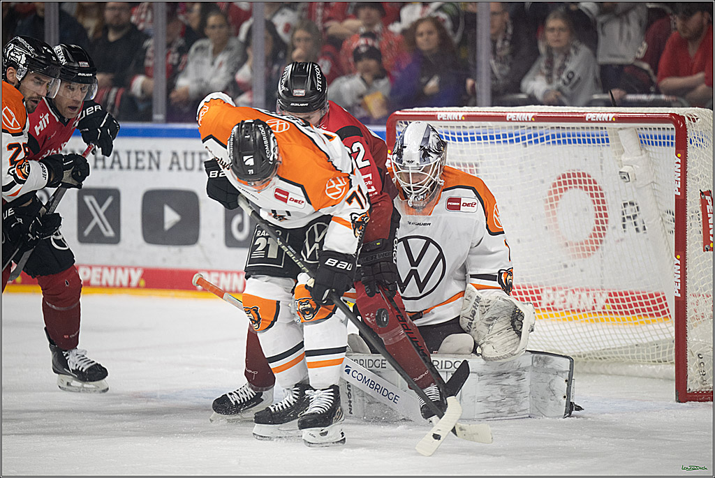 PENNY DEL; Kölner Haie-Grizzlys Wolfsburg; Köln, 18.12.2025