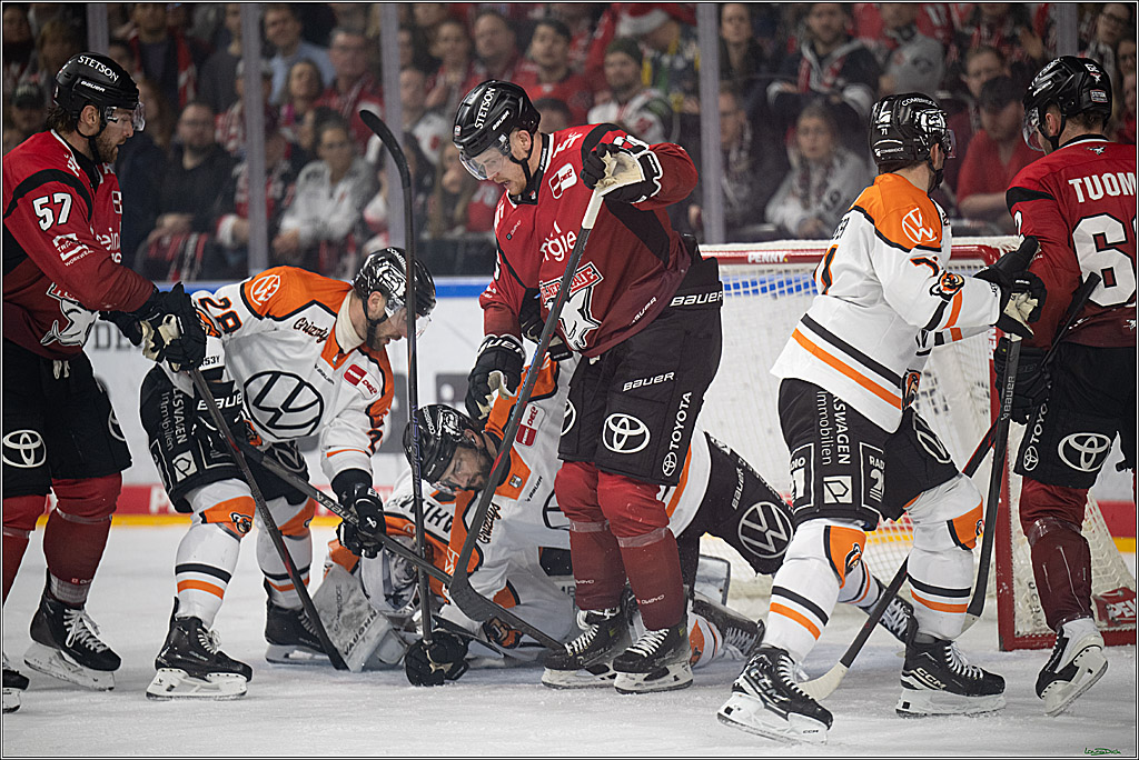 PENNY DEL; Kölner Haie-Grizzlys Wolfsburg; Köln, 18.12.2025