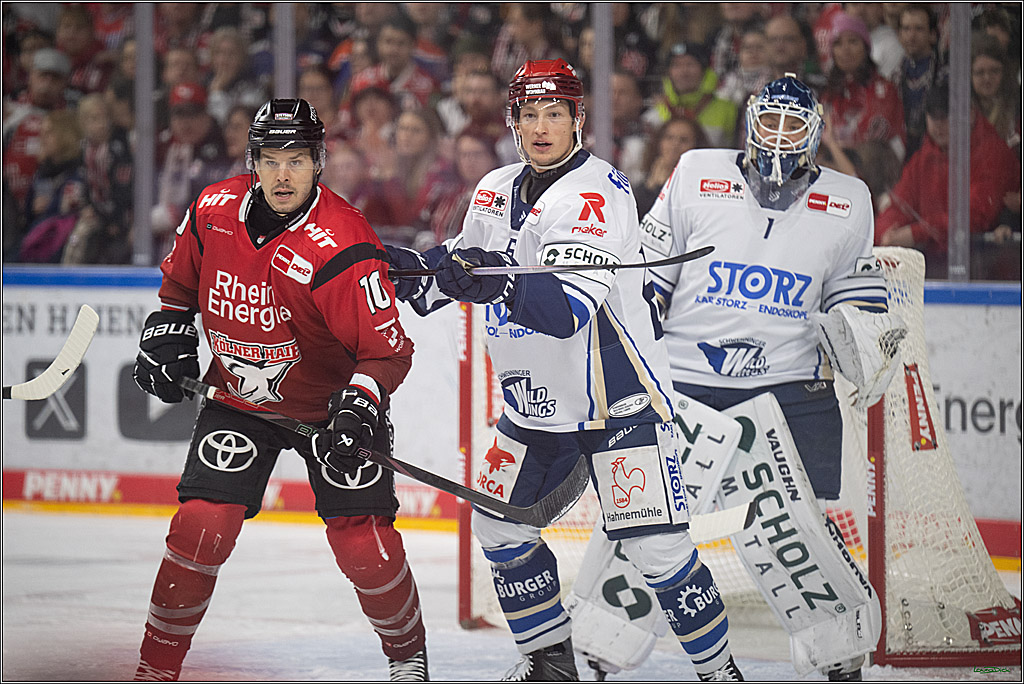 PENNY DEL: Kölner Haie - Schwenninger Wild Wings; Köln, 28.12.2025