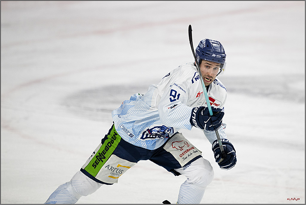 PENNY DEL 1; Kölner Haie - Straubing Tigers; Köln, 02.01.2026