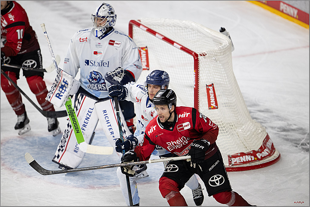 PENNY DEL 1; Kölner Haie - Straubing Tigers; Köln, 02.01.2026