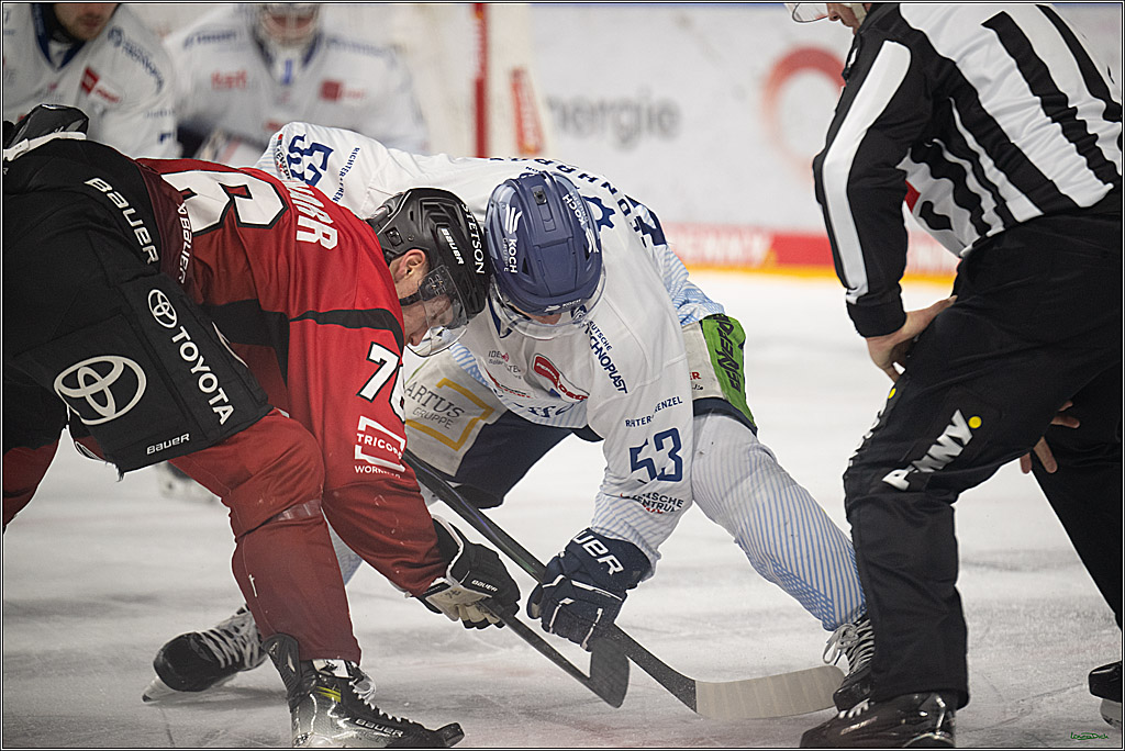 PENNY DEL 1; Kölner Haie - Straubing Tigers; Köln, 02.01.2026