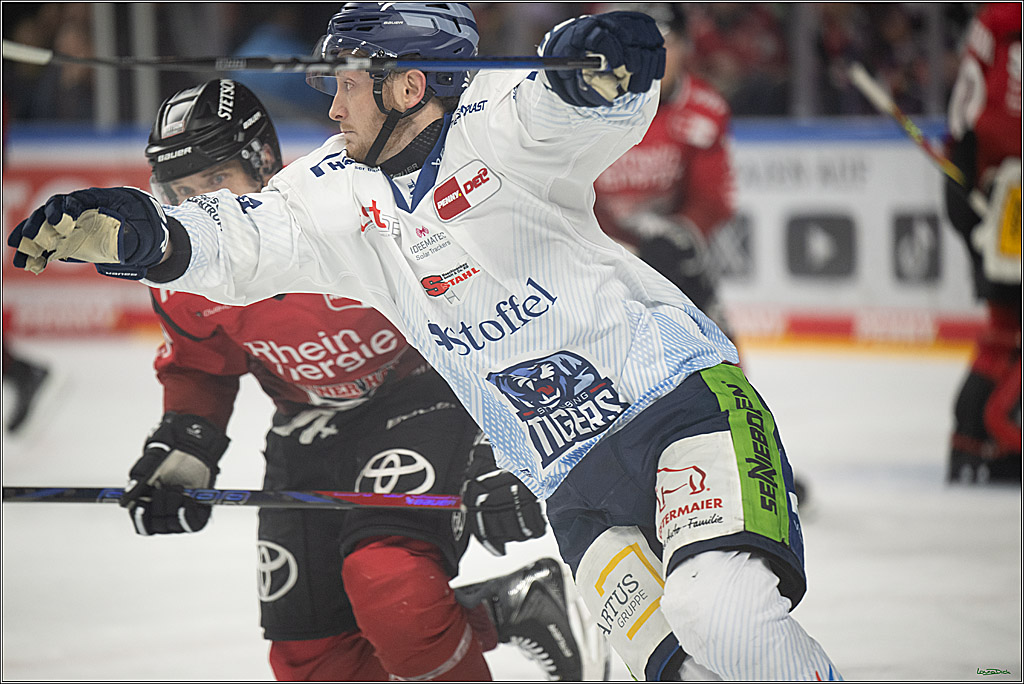 PENNY DEL 1; Kölner Haie - Straubing Tigers; Köln, 02.01.2026