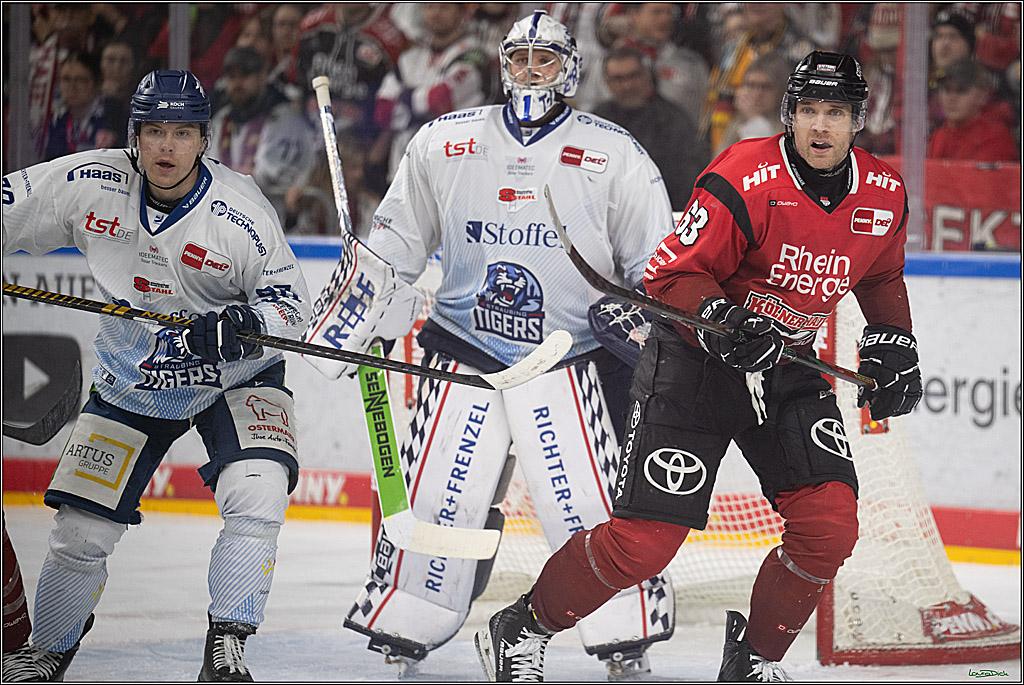 PENNY DEL 1; Kölner Haie - Straubing Tigers; Köln, 02.01.2026