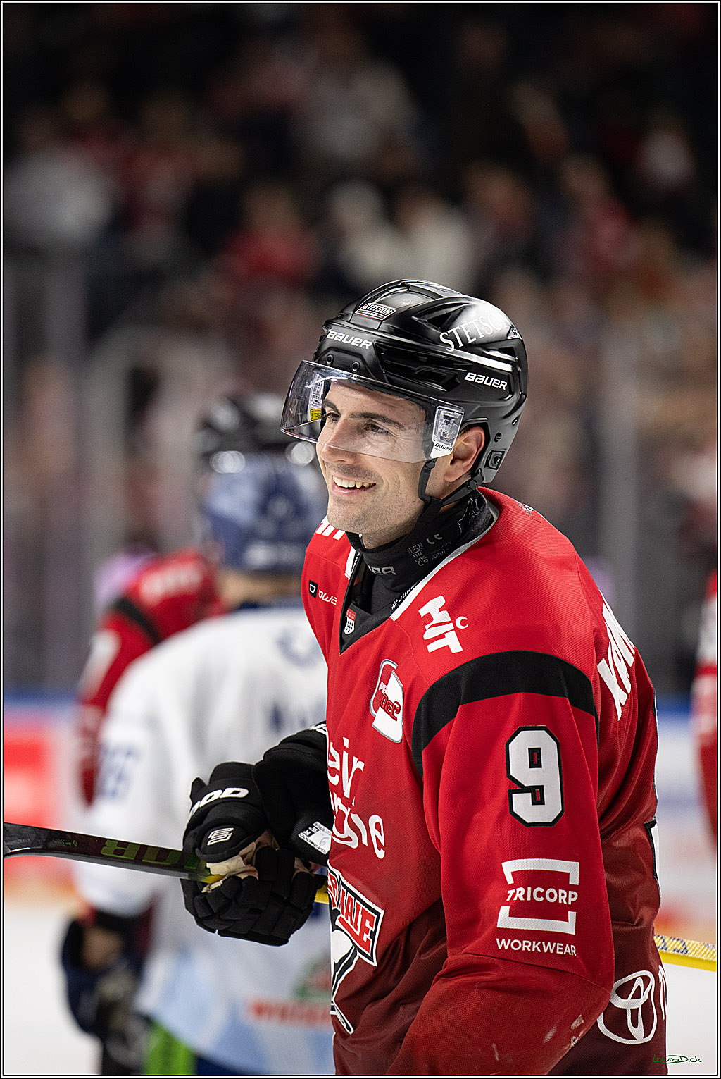 PENNY DEL 1; Kölner Haie - Straubing Tigers; Köln, 02.01.2026