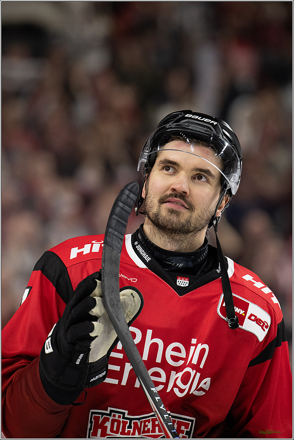 PENNY DEL 1; Kölner Haie - Straubing Tigers; Köln, 02.01.2026