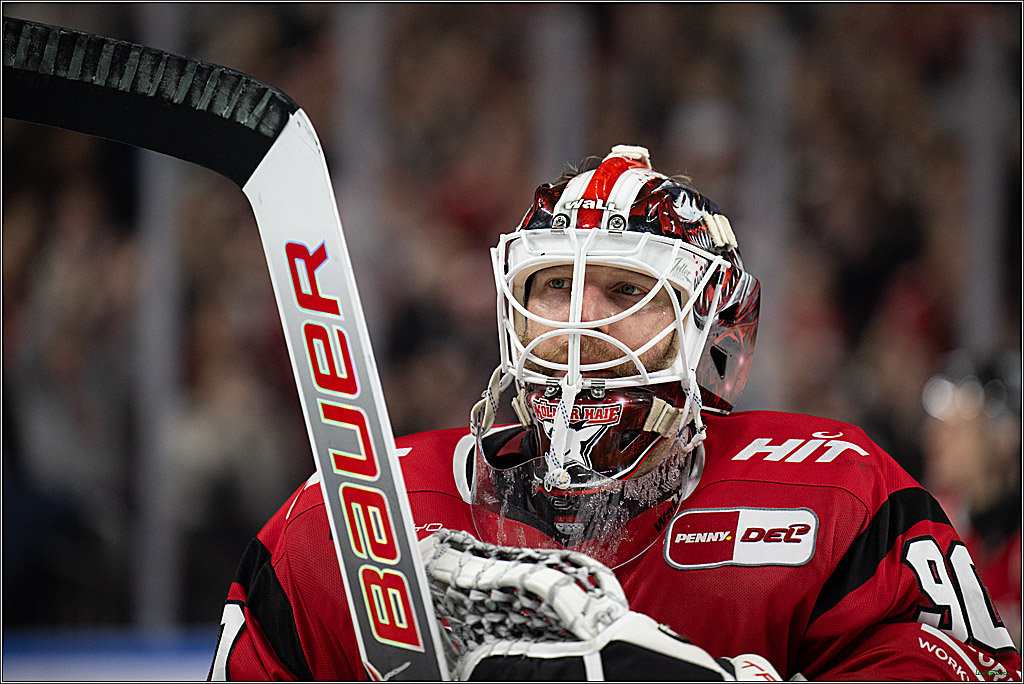 PENNY DEL 1; Kölner Haie - Straubing Tigers; Köln, 02.01.2026