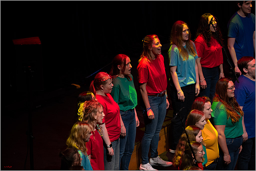 Singen macht glücklich - Sommerkonzert, 07.06.2026