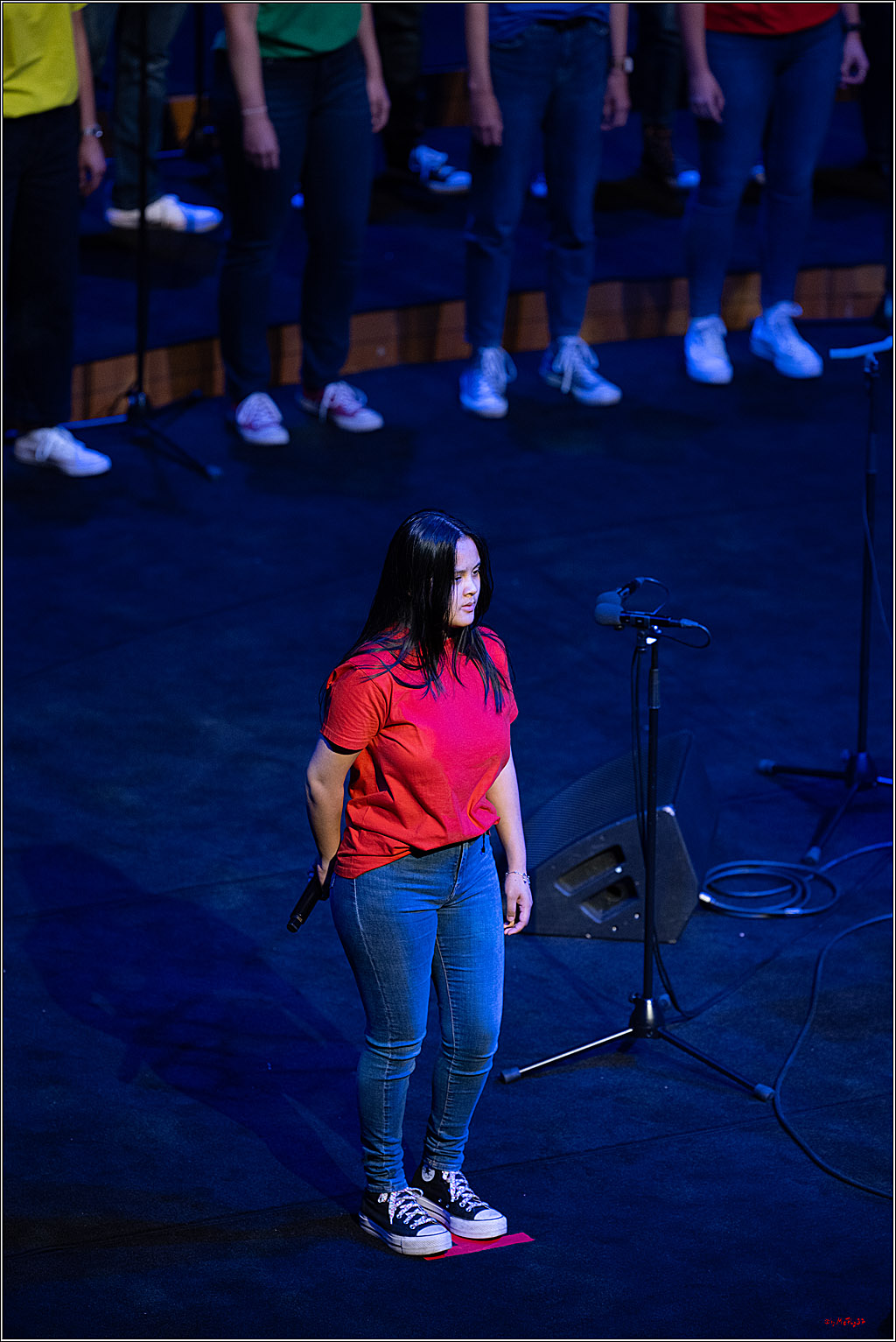 Singen macht glücklich - Sommerkonzert, 07.06.2026